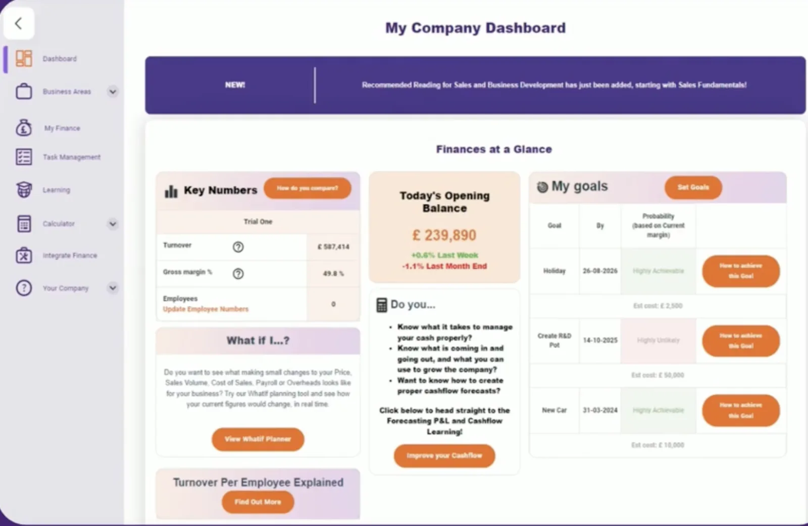 MagnifyB company dashboard